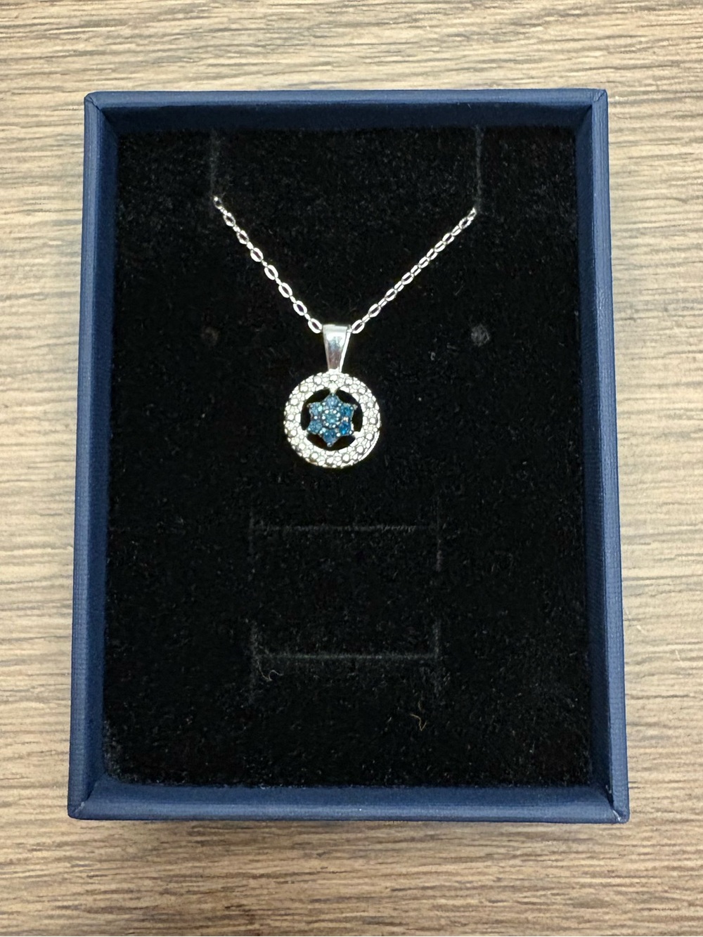 Sterling Silver Natural Blue Diamond Circle Pendant Necklace